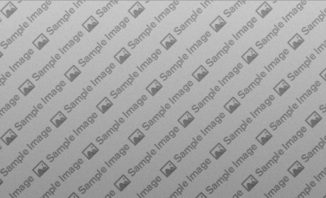 Present data with stylish and animated graphs with Chartist